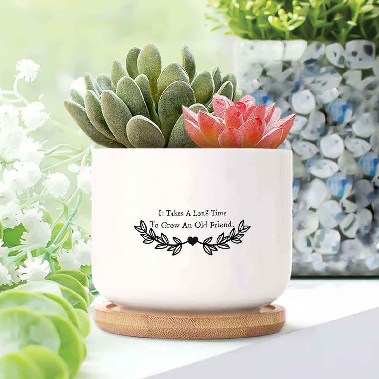 Yelolyio It Takes A Long Time to Grow An Old Friend Ceramic Planters Family Prayer Snake Plant Live Indoor with Pot With Drainage Holes And Saucers Pot For Home Desktop Office Windowsill