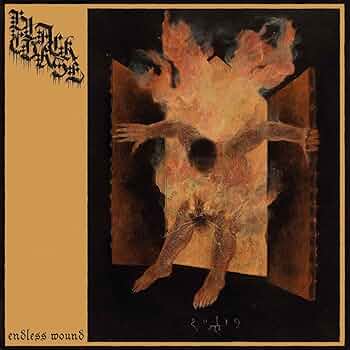 版画 EELUS / wound Up And Let Loose 71l7mXjsA7L._UF350,350_QL50_.jpg