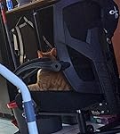 Review Image by c00kie c00kie