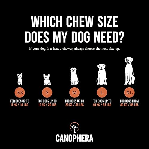 Miniatura 3 de Raíz masticable para perros, madera de brezo natural para dientes y encías saludables, tamaño pequeño