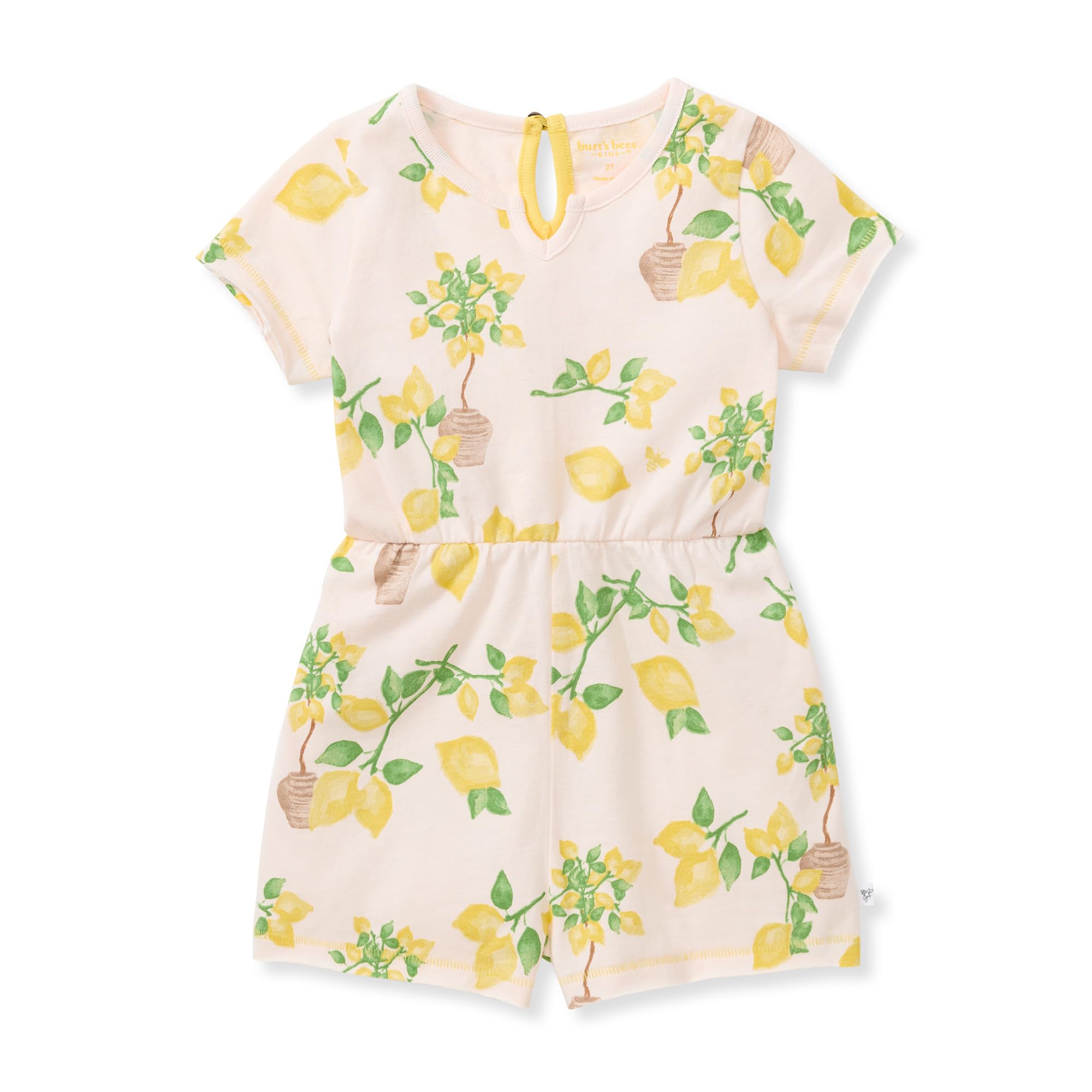 Burts Bees Baby Baby Girls Romper 100 Organic Cotton One-piece Shortall and Layette Set Girl Outfit