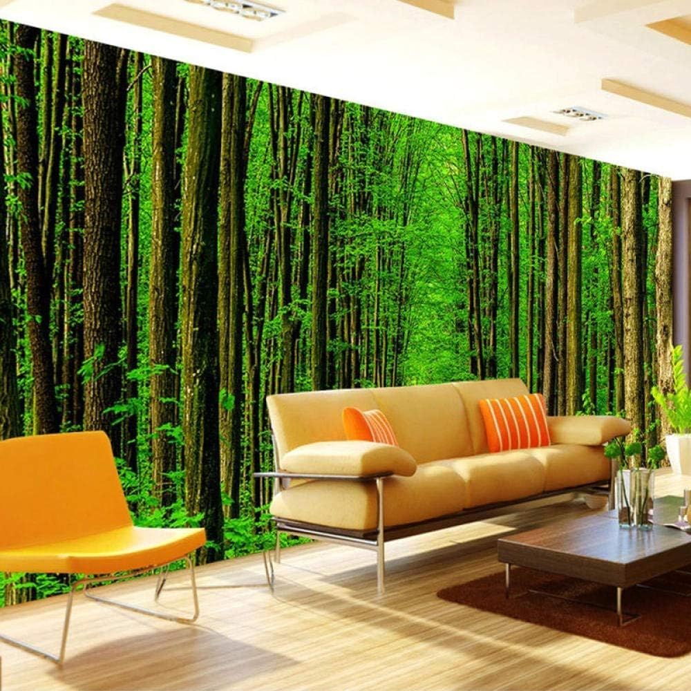 Papier peint photo paysage arbres pour une décoration murale raffinée