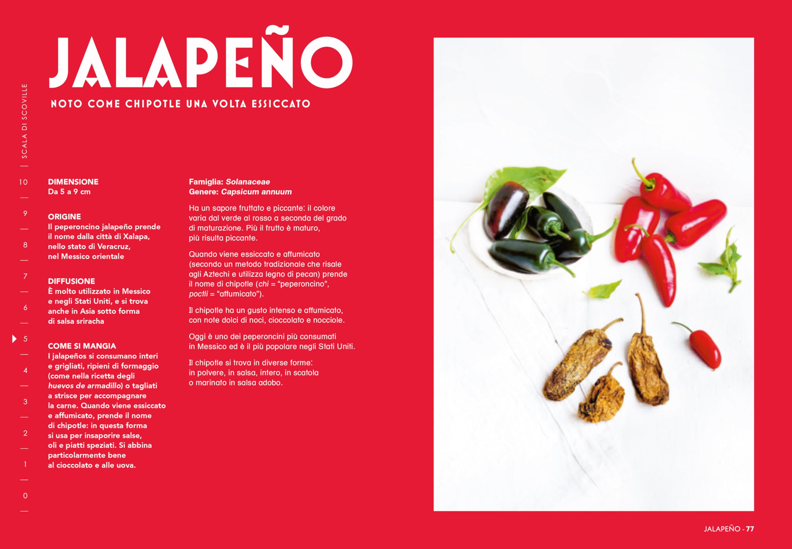 Peperoncino