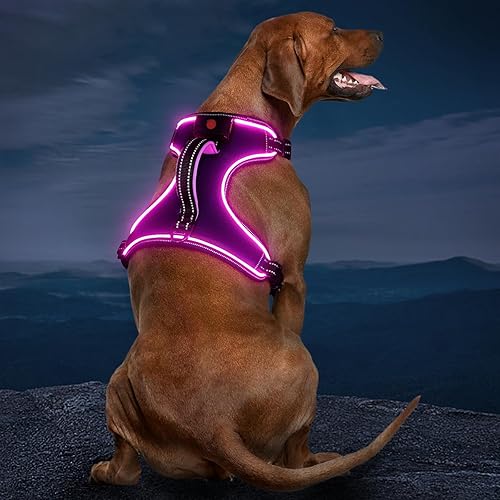 Miniatura 10 de Arnés para perro con luz, arnés LED sin tirones con asa, chaleco de seguridad iluminado recargable para perros pequeños, medianos y grandes, luces