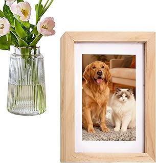 Sicherer Aufbewahrungsrahmen, kompakte Sicherheitsbox, 6,69 x 1,38 x 8,66 Zoll großer abschließbarer mit Schlüssel, Tresorhalter, Innenaufbewahrung mit Schutz, Bargeldaufbewahrung für Z