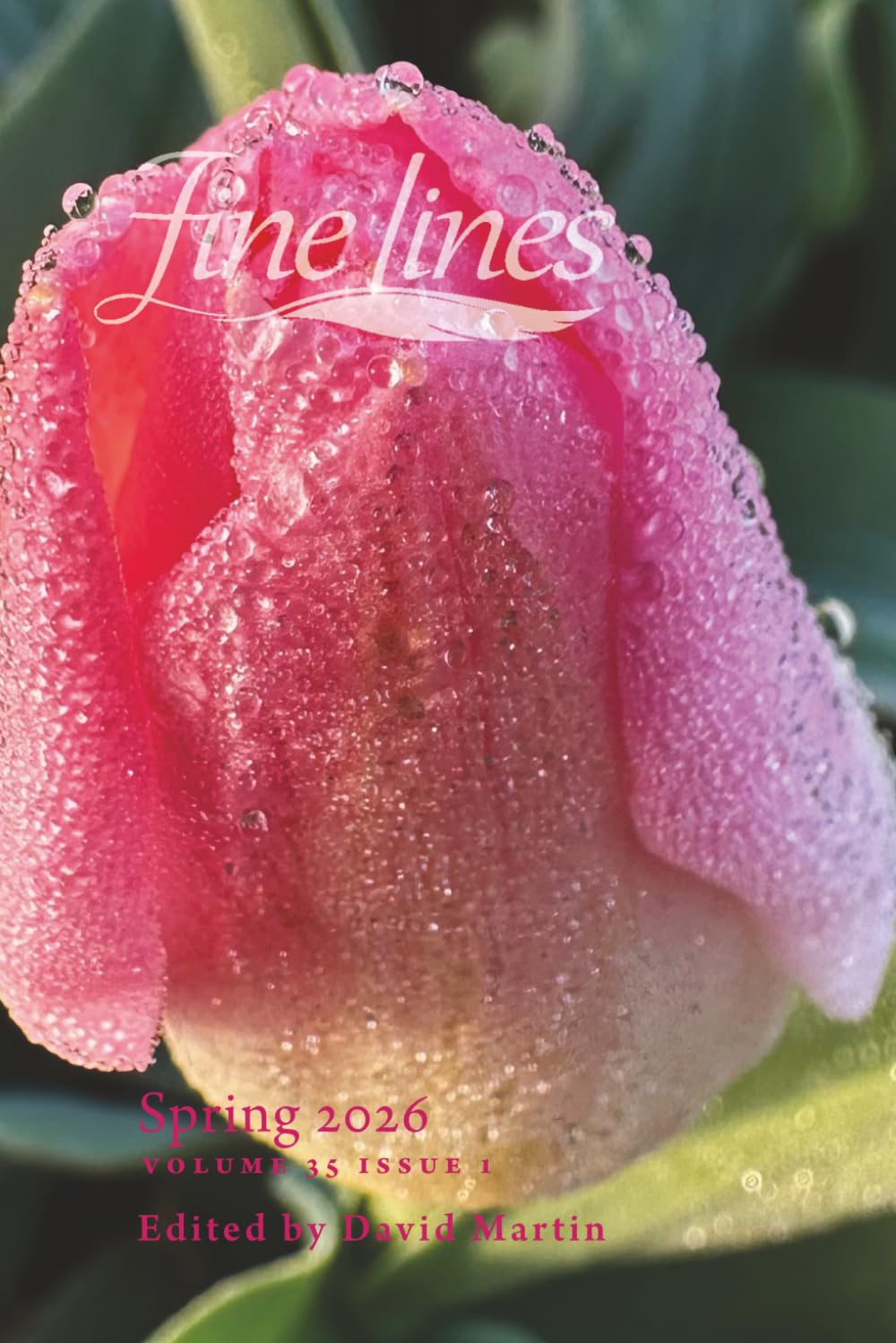 Fine Lines Spring 2026: Volume 35 Issue 1