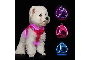 Flashing LED Dog Harness for Nighttime Visibility