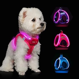 Feycig Luminous Dog Harness LED Rechargeable - Luminous & Reflective for Puppies Small Medium Dog Chest Harness Breathable Luminous Harness (Pink, Small)