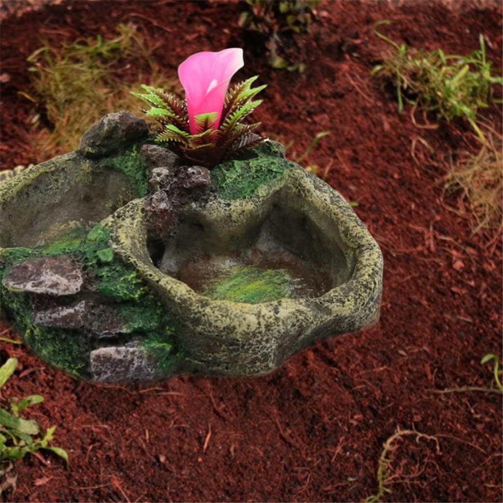 Reptile Water Dish Food Bowl Resin Feeder Bowl for Tortoise Lizard Pet Products (Color : C) (B)