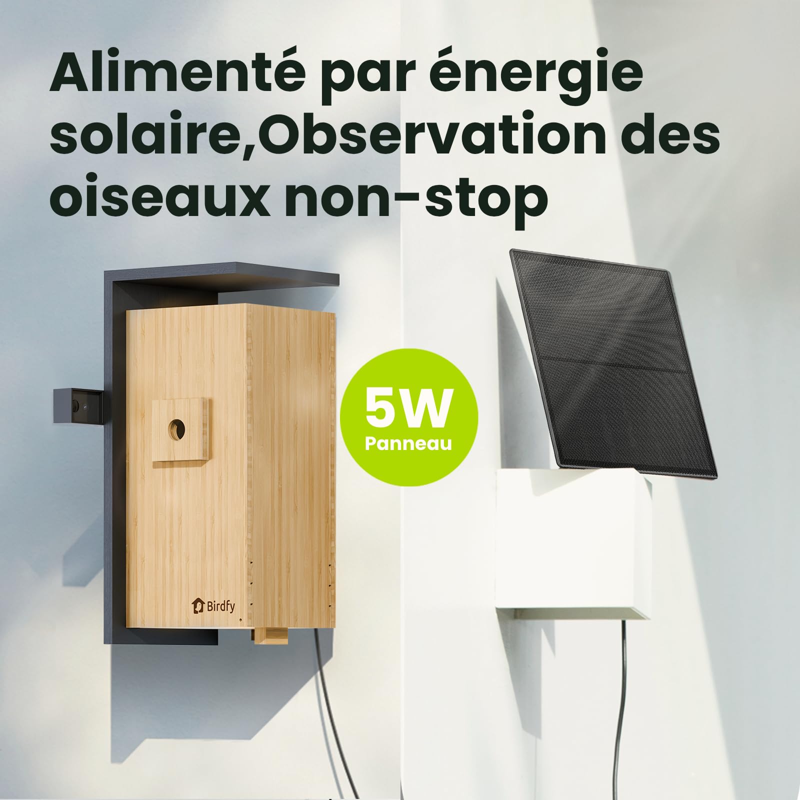 Birdfy Nichoir Oiseaux avec Double Camera pour l'observation en Direct, 1080P Bambou Nichoir Mesange avec Vision Nocturne, Analyse du Comportement par IA avec Alertes et Enregistrements Automatiques