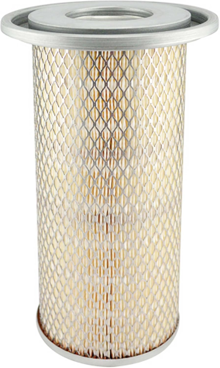 Baldwin Filters PA3979 Air Filter (5-1/4 x 11-1/2 in.)