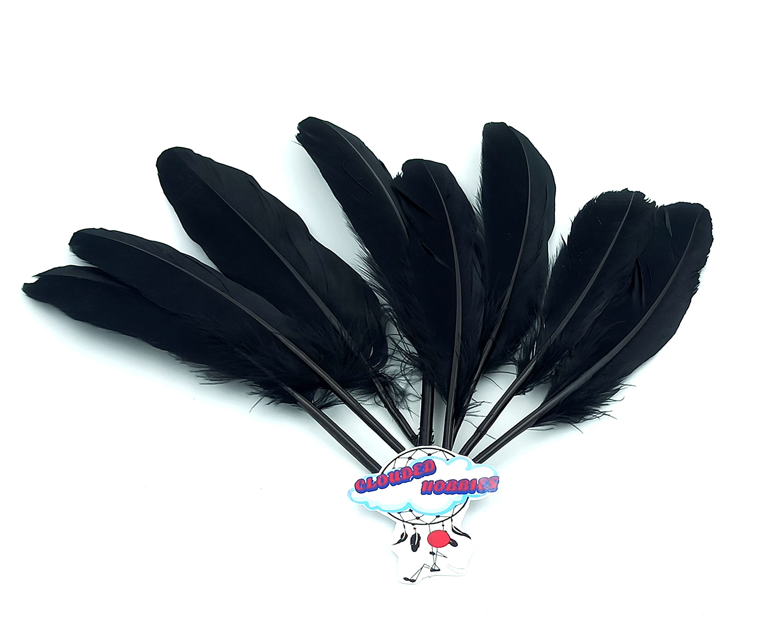 CLOUDED HOBBIES Long Hard Black Feather Pack of 20 Pieces for Craft Decor DIY 6 INCH (+/-) Long