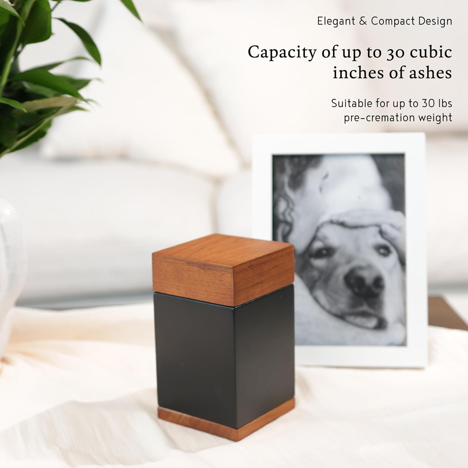 Small Timeless Walnut Wood Urn for Ashes Adult Male & Female – Handcrafted Cremation Urn for Human Ashes – Keepsake Box & Memorial Keepsake - Urns for Women & Men – Pet Urns for Dogs