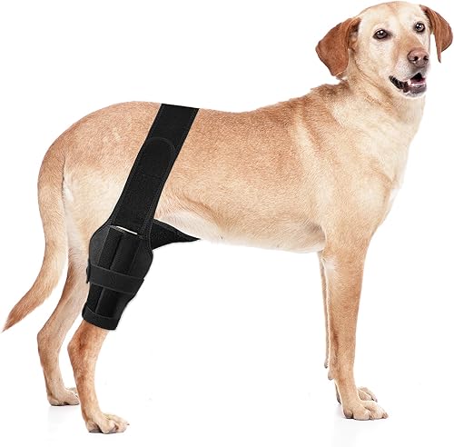 soundfuse Rodillera para perro, soporte de pierna mejorado para LCA con lesión de ligamento cruzado, soporte ajustable para la pierna trasera del disponible en Yaxa Colombia