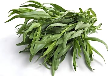 Tarragon Seeds Artemisia Dracunculus - Aromatic Herb for Culinary Use, Teas, and Pollinator Gardens | Non-GMO, Hardy Perennial for Gardens, Raised Beds, and Containers 100