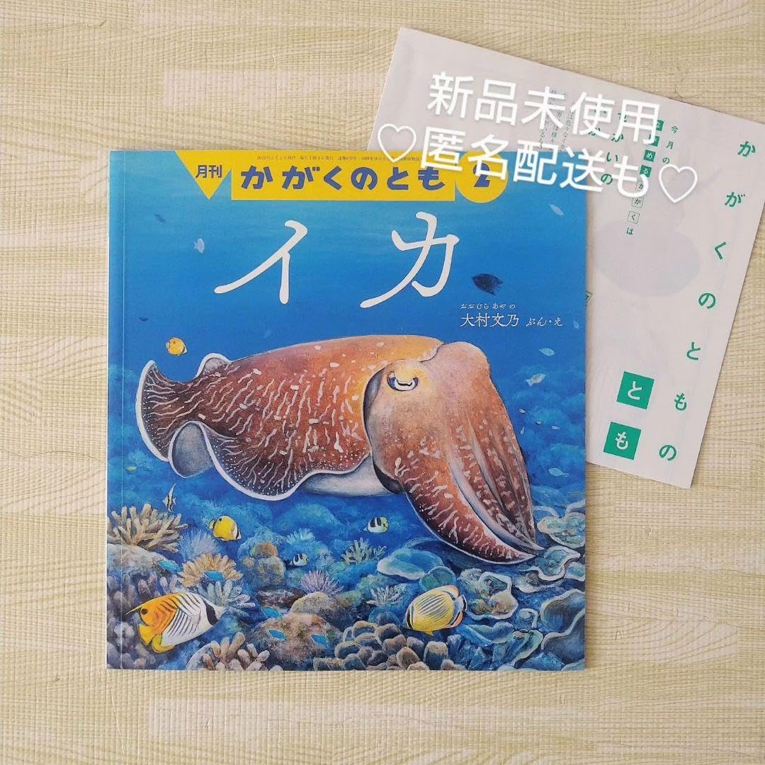 Amazon.co.jp: イカ いか 烏賊 福音館書店 かがくのとも 受験
