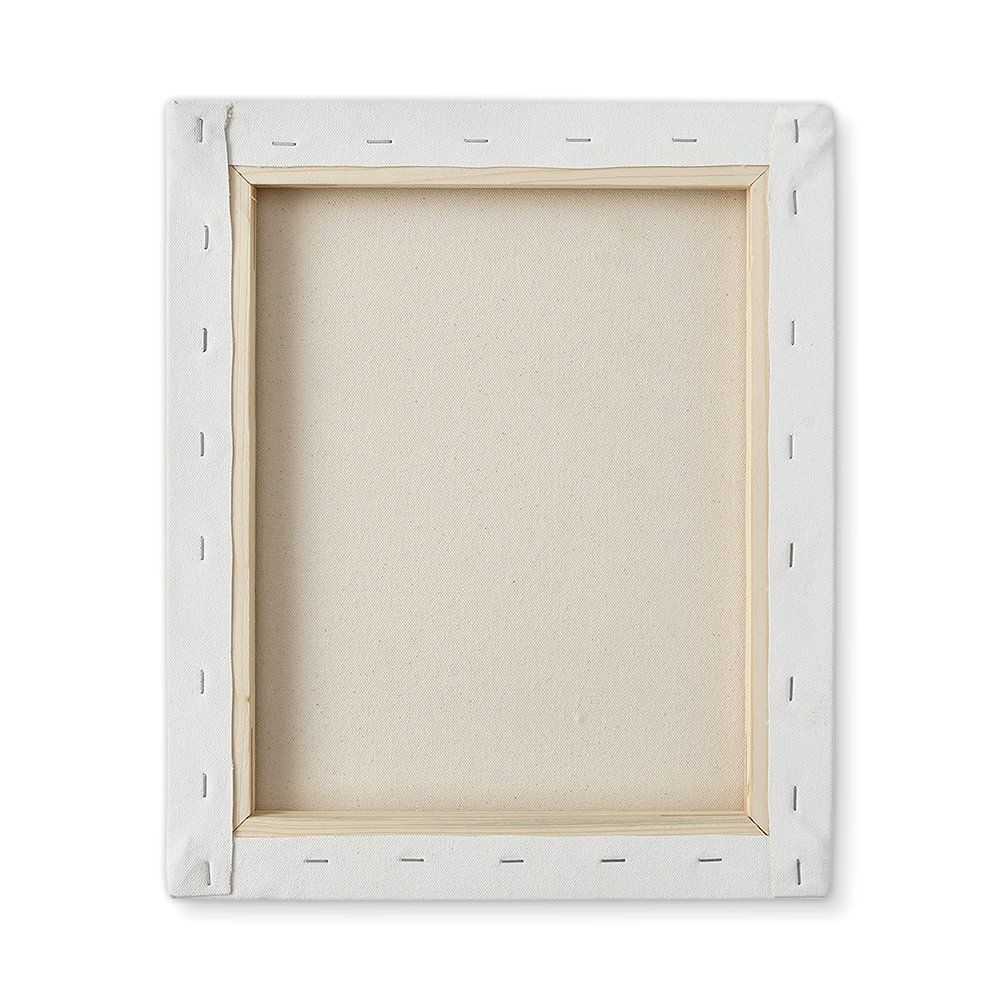 Canvasify Medium Grain Artist Stretched Canvas 10" x 12" | Primed Cotton | Suitable for Acrylic, Oil & Alkyd Paints – for Painting, Sketching & Drawing | Pack of 4 1