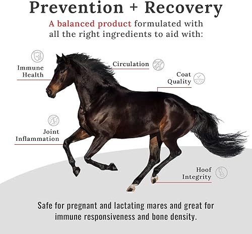 Miniatura 2 de Mojo Suplementos para caballos articulares, suplemento peletizado equino, suplemento natural para el cuidado de las articulaciones para caballos,