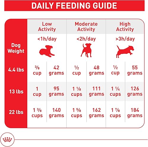Miniatura 8 de Royal Canin Alimento seco para perros adultos de interior pequeño, bolsa de 2.5 libras