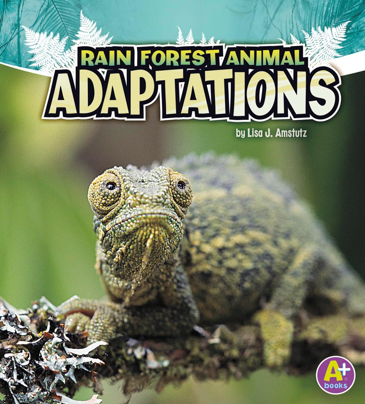Rain Forest Animal Adaptations Paperback – 1 August 2011