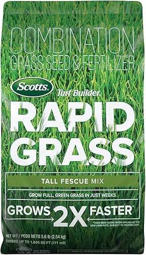 Scotts Turf Builder Rapid Grass Tall Fescue Mix, Combination Grass