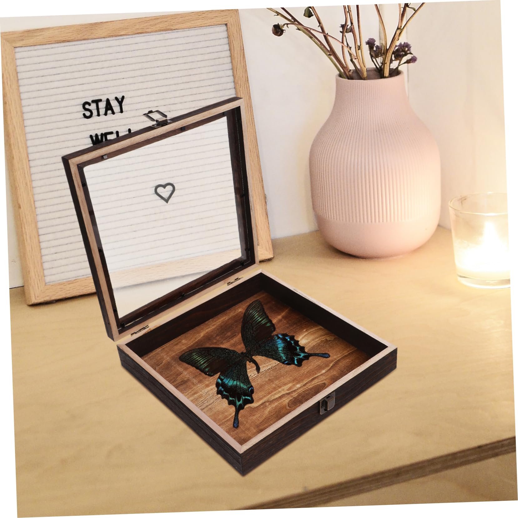 Retro Schmetterlingsvitrine mit Klarsichtdeckel aus Acryl Holz