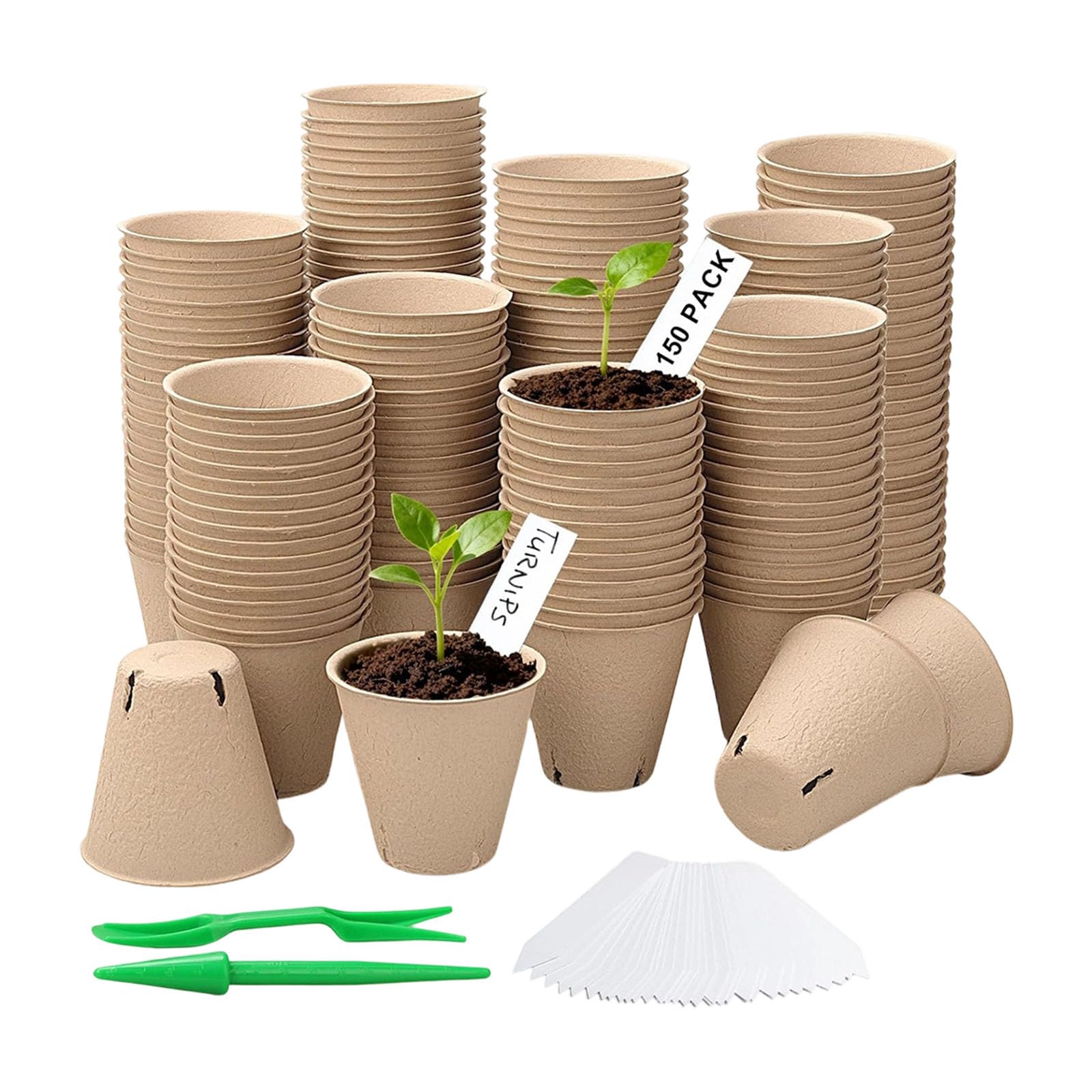 Pot de semis transparent avec couvercle pour bouture et culture de plantes