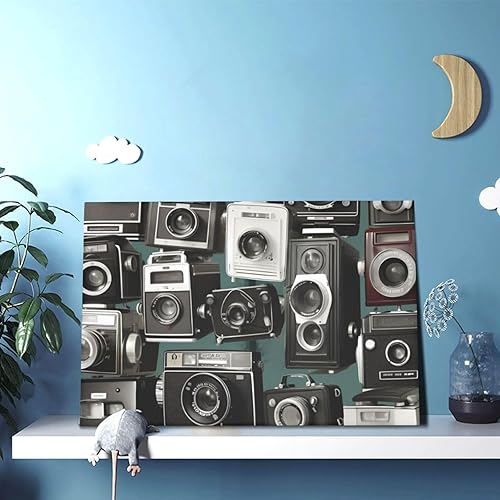 Miniatura 1 de RLDOBOFE Lienzo decorativo de pared para dormitorio, colección de cámara retro y fresca, decoración de pared abstracta para sala de estar, pinturas