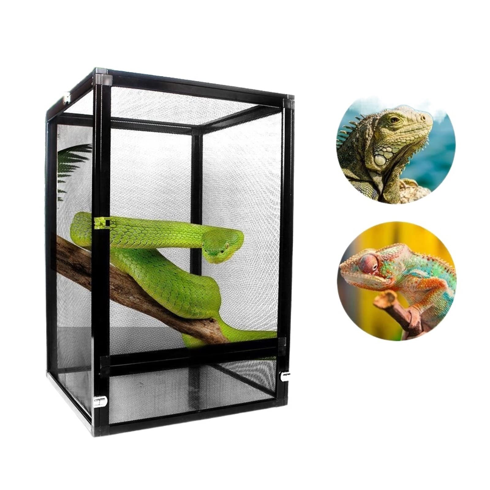 SISWIM Caja de Alimentación de Insectos Caja de alimentación Comedero for Reptiles Transparente Comedero for Reptiles de Aluminio Arañas Lagartos Grillos Caja Alimentación Reptiles