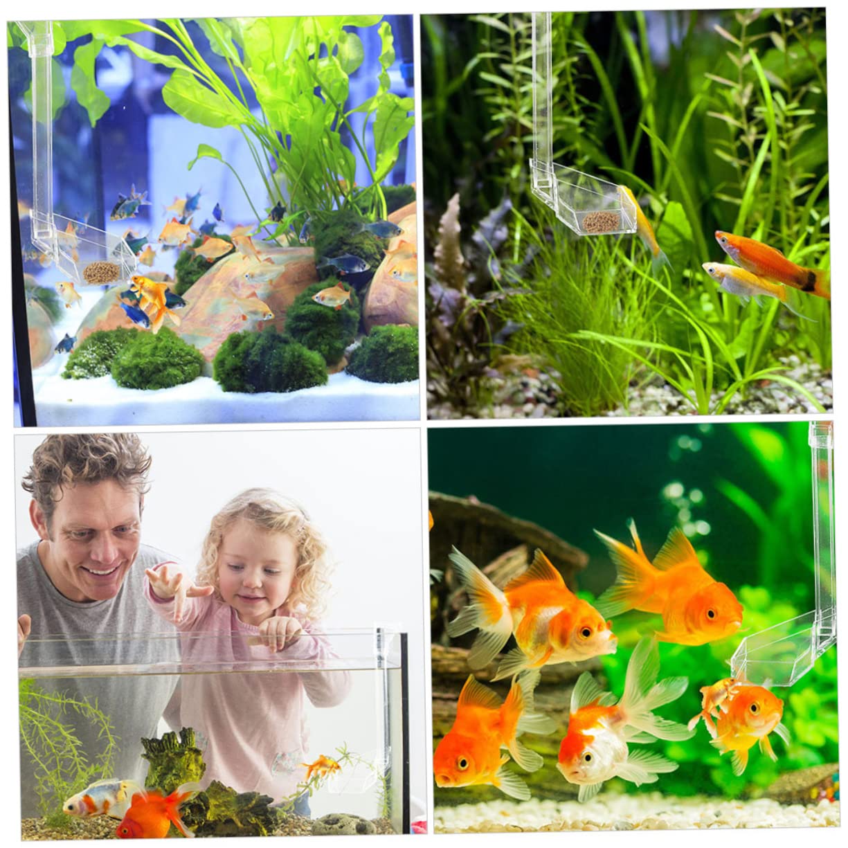 COSMEVIVI Acrylic Fish Sinking Feeder for Aquarium Easy Open Dish Sturdy for Long-Lasting Use Shrimp and Betta Feeder