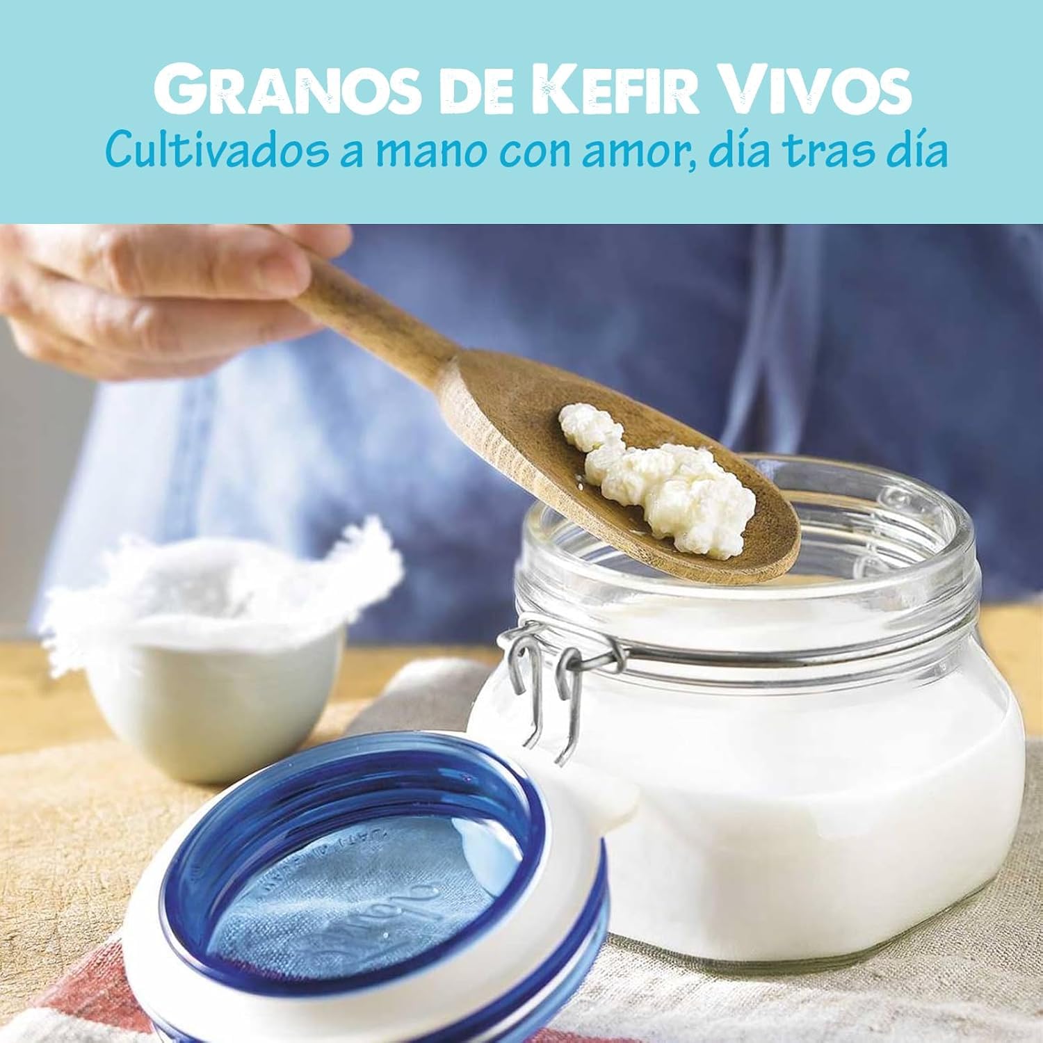 Pack Nódulos 10g Kéfir de Leche + 50g Nódulos Kéfir de Agua – Probióticos Naturales para Fermentar Bebidas Saludables – Fácil de Usar y Reutilizable - OH MY KÉFIR®