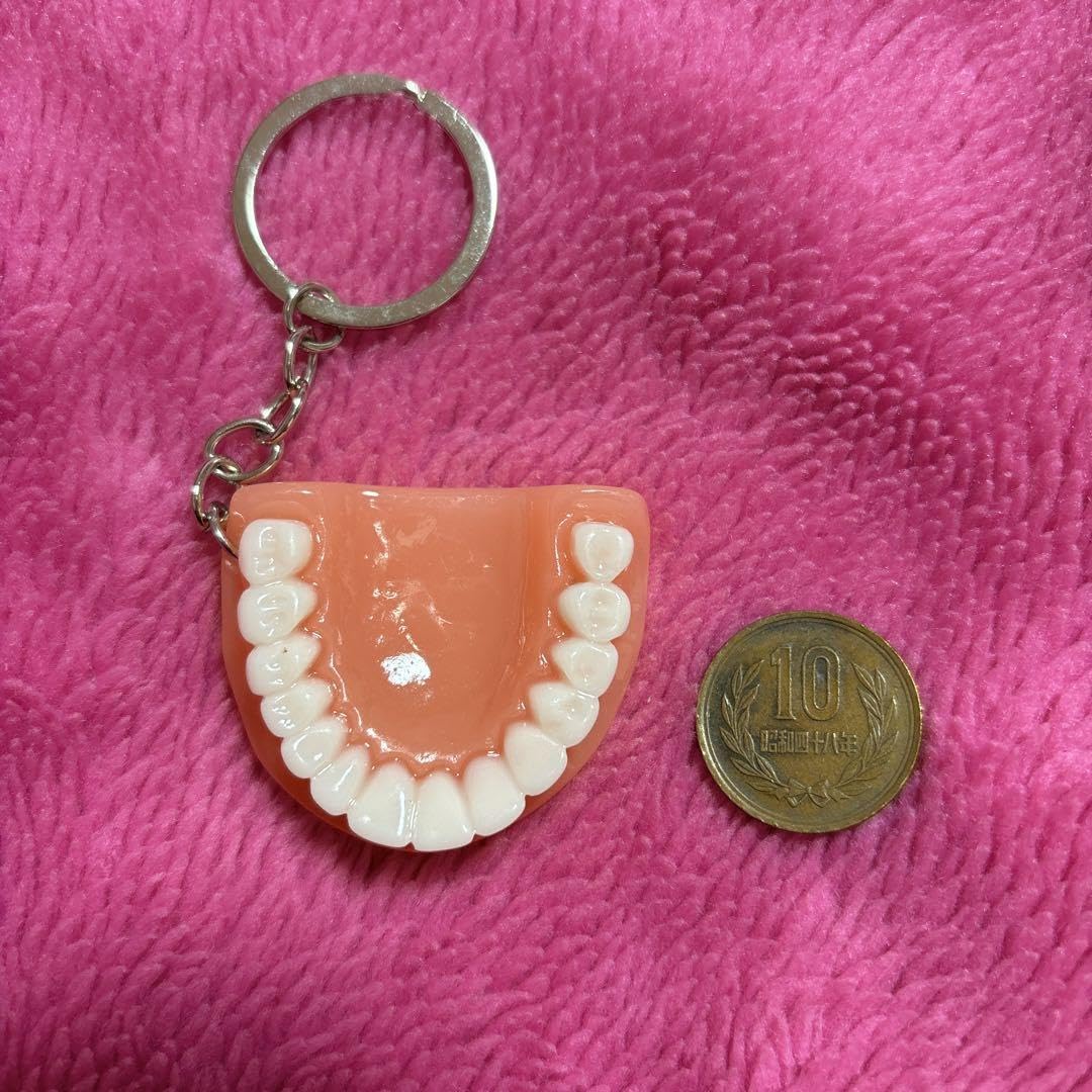じゃらじゃらキーホルダー 歯 ピンク系 Amazon.co.jp: ピンク系 じゃらじゃらキーホルダー 入れ歯 歯