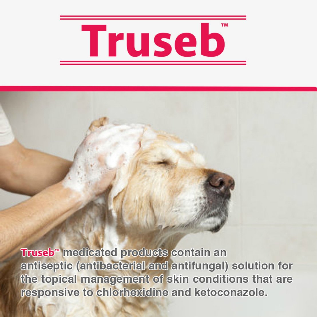 Truseb 1 Chlorhexidine Shampoo with Ketoconazole for Dogs, Cats and