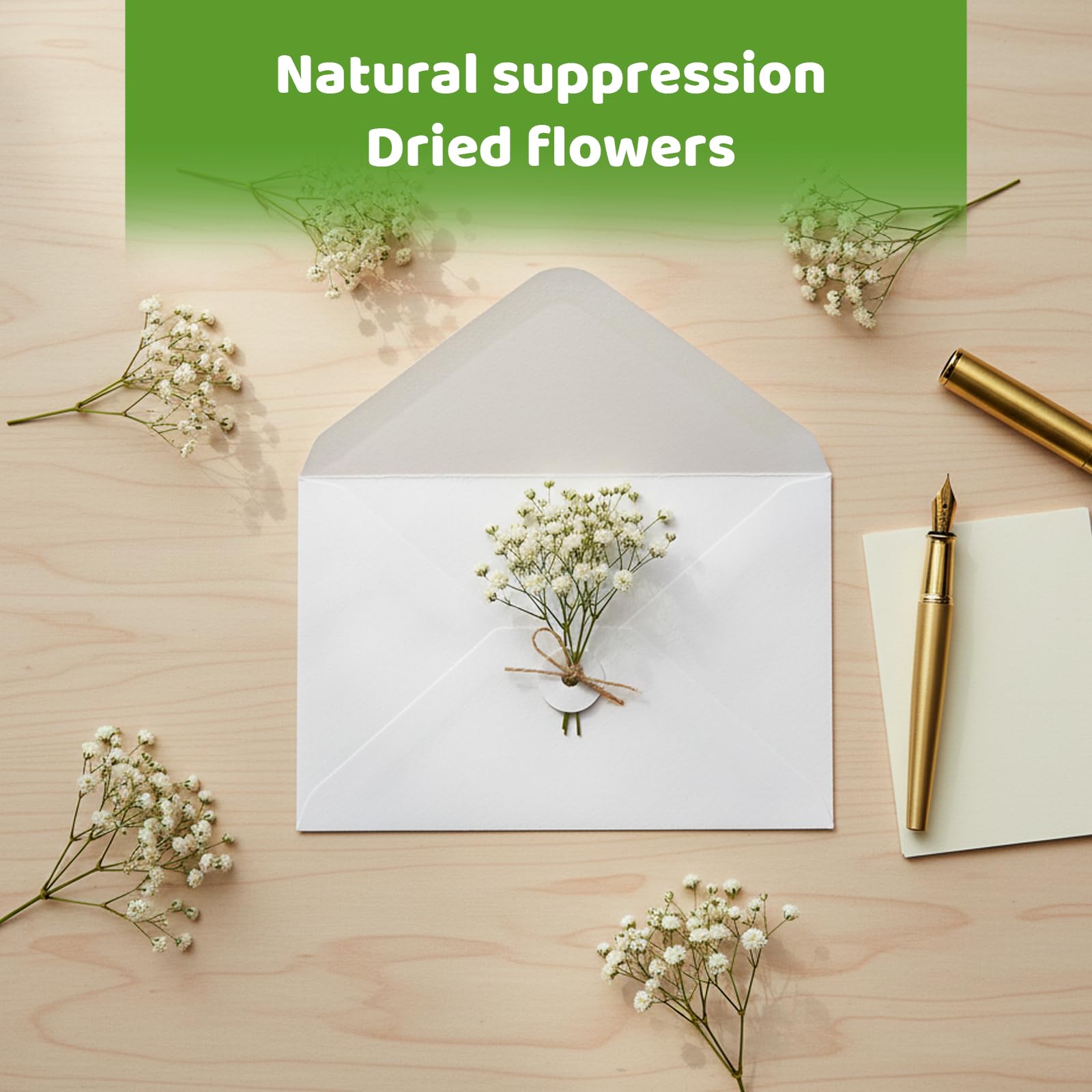 View 6
