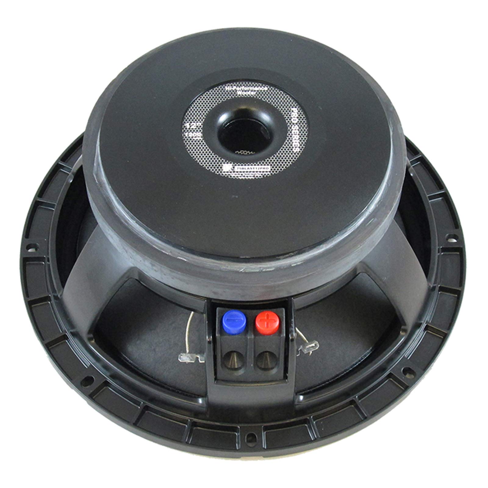 Blastking BLAST12PRO 12