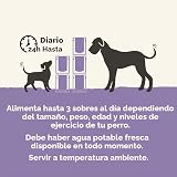 Ver la foto 6
