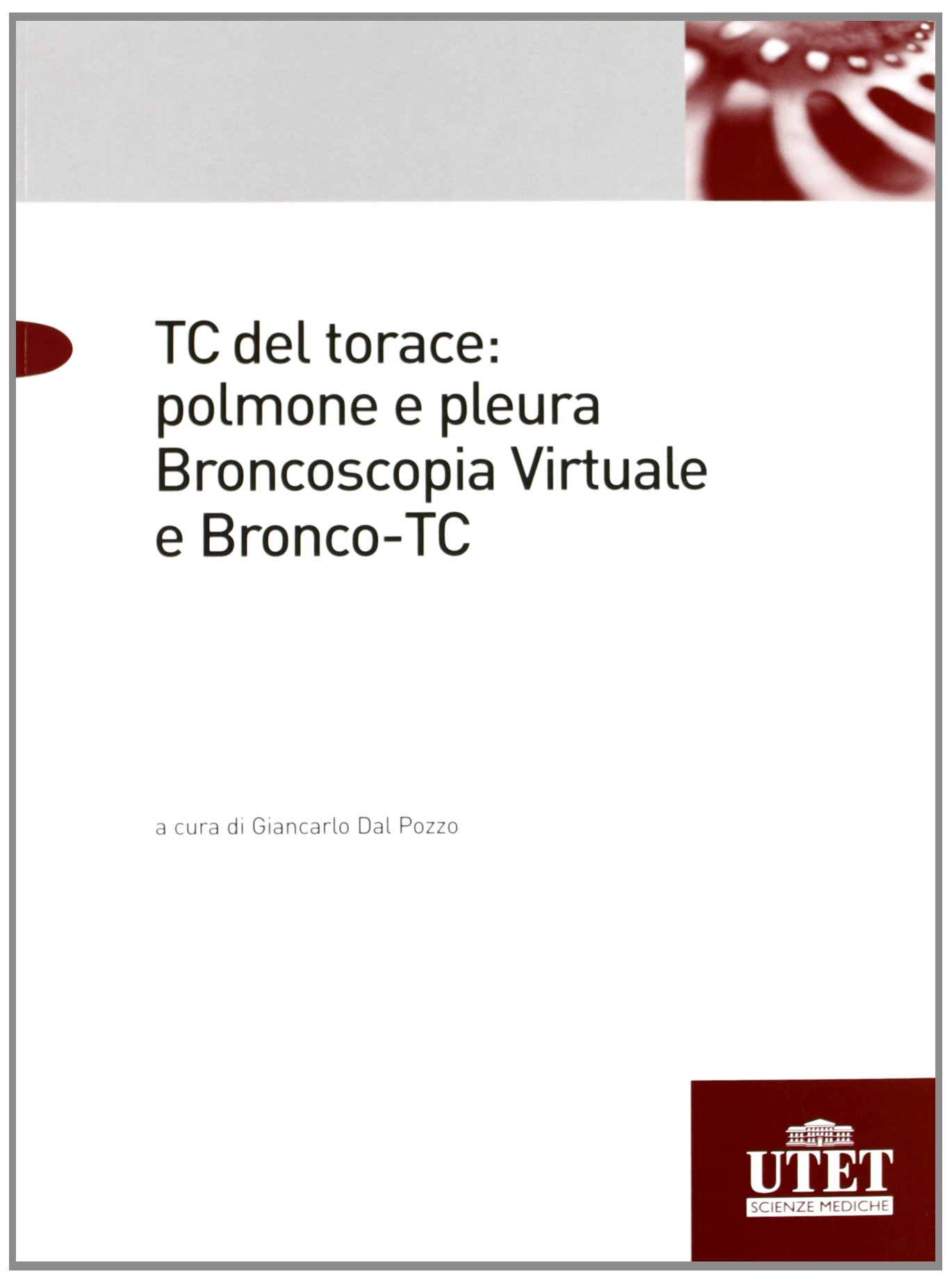 TC torace: polmone pleura. Broncoscopia virtuale