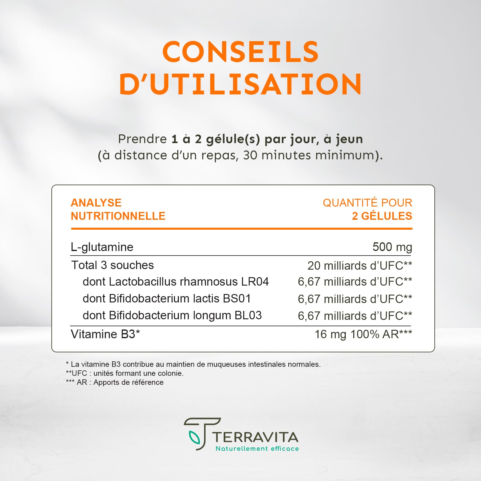 Permea Flore | PROBIOTIQUES + GLUTAMINE | Flore Intestinale et Cicatrisation de la Muqueuse | Idéal Contre la Perméabilité Intestinale | 60 Gélules Gastro-résistantes | Made in France | Terravita