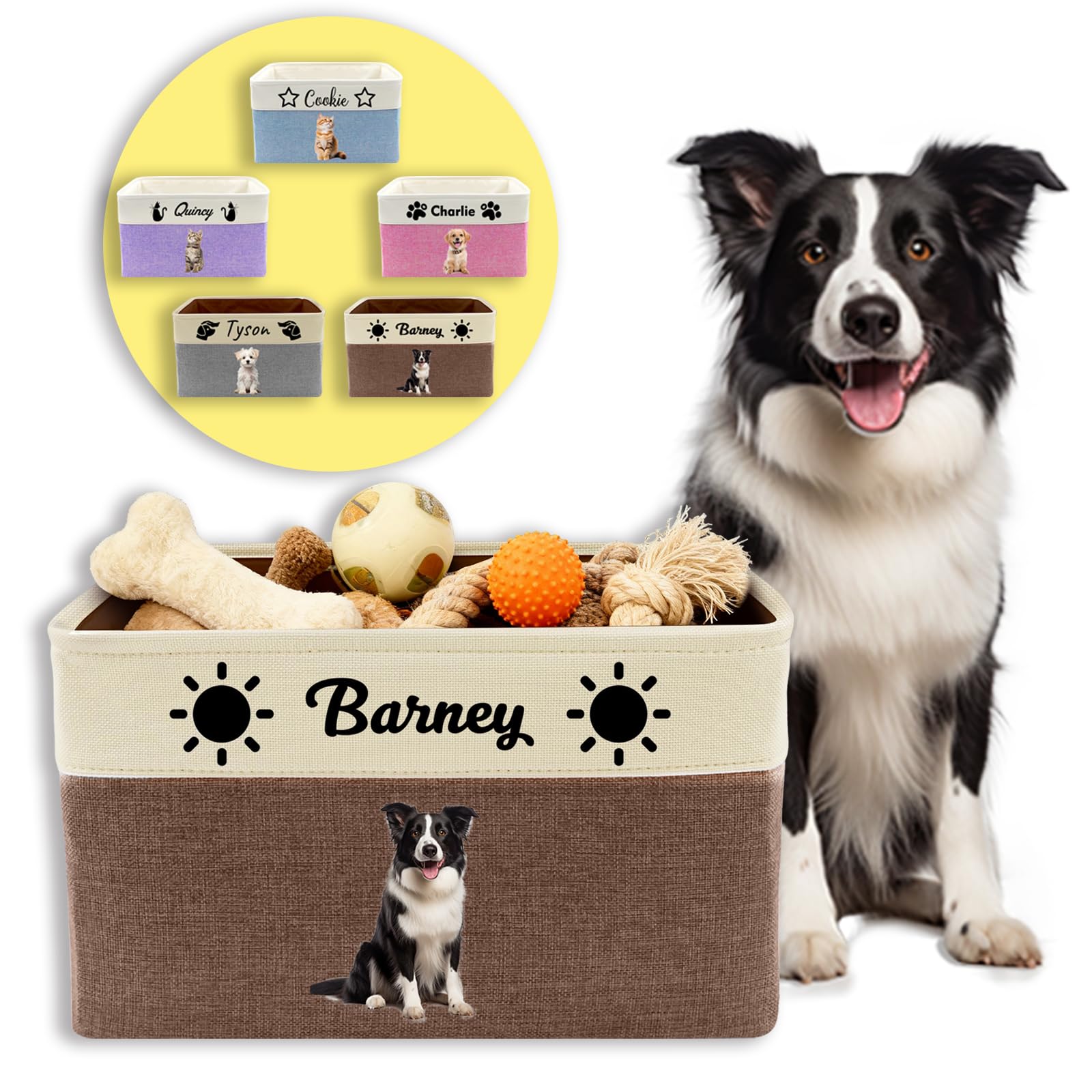 Personalizzato Portaoggetti per Cani con Foto e Nome Marrone