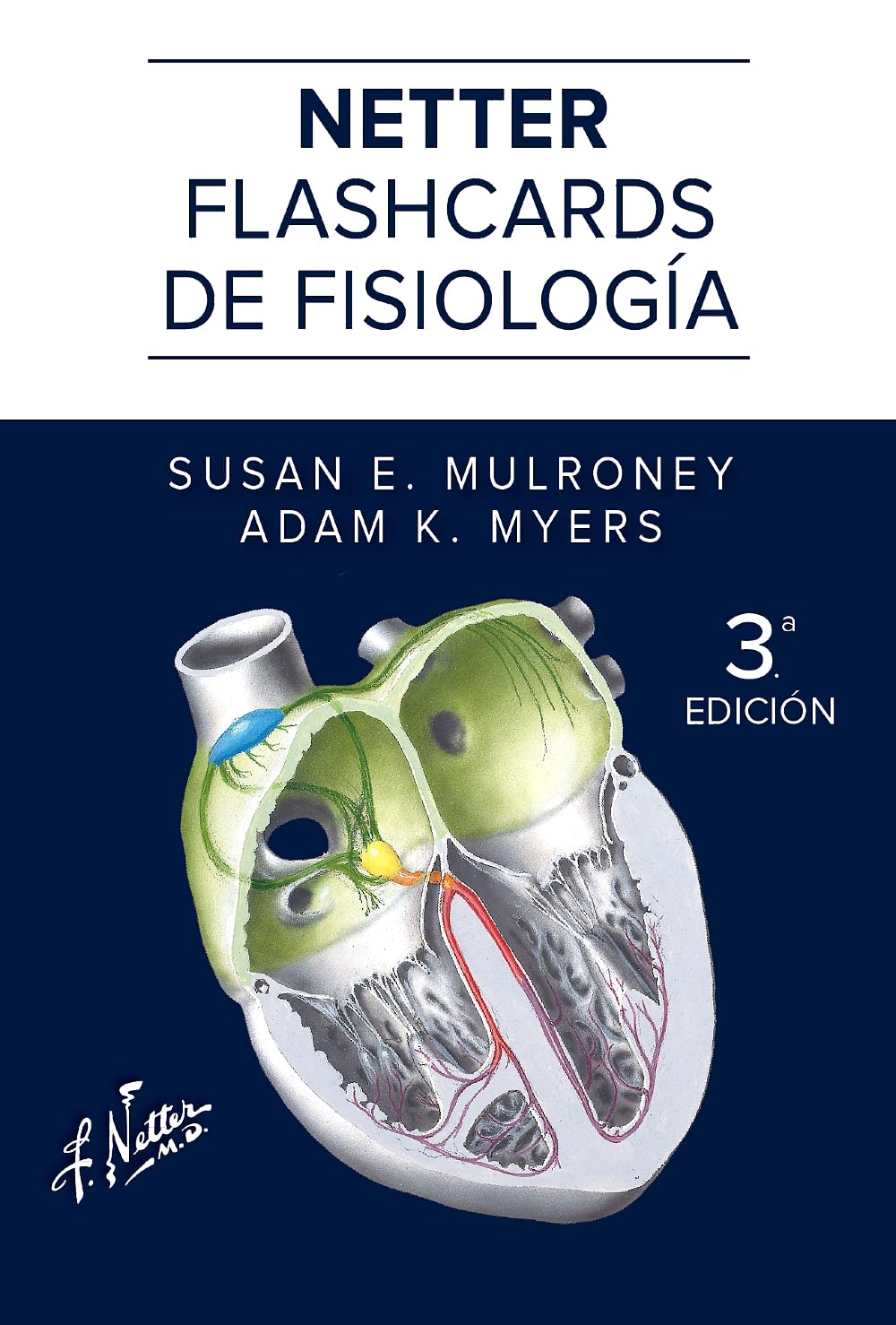 Netter. Flashcards de fisiología