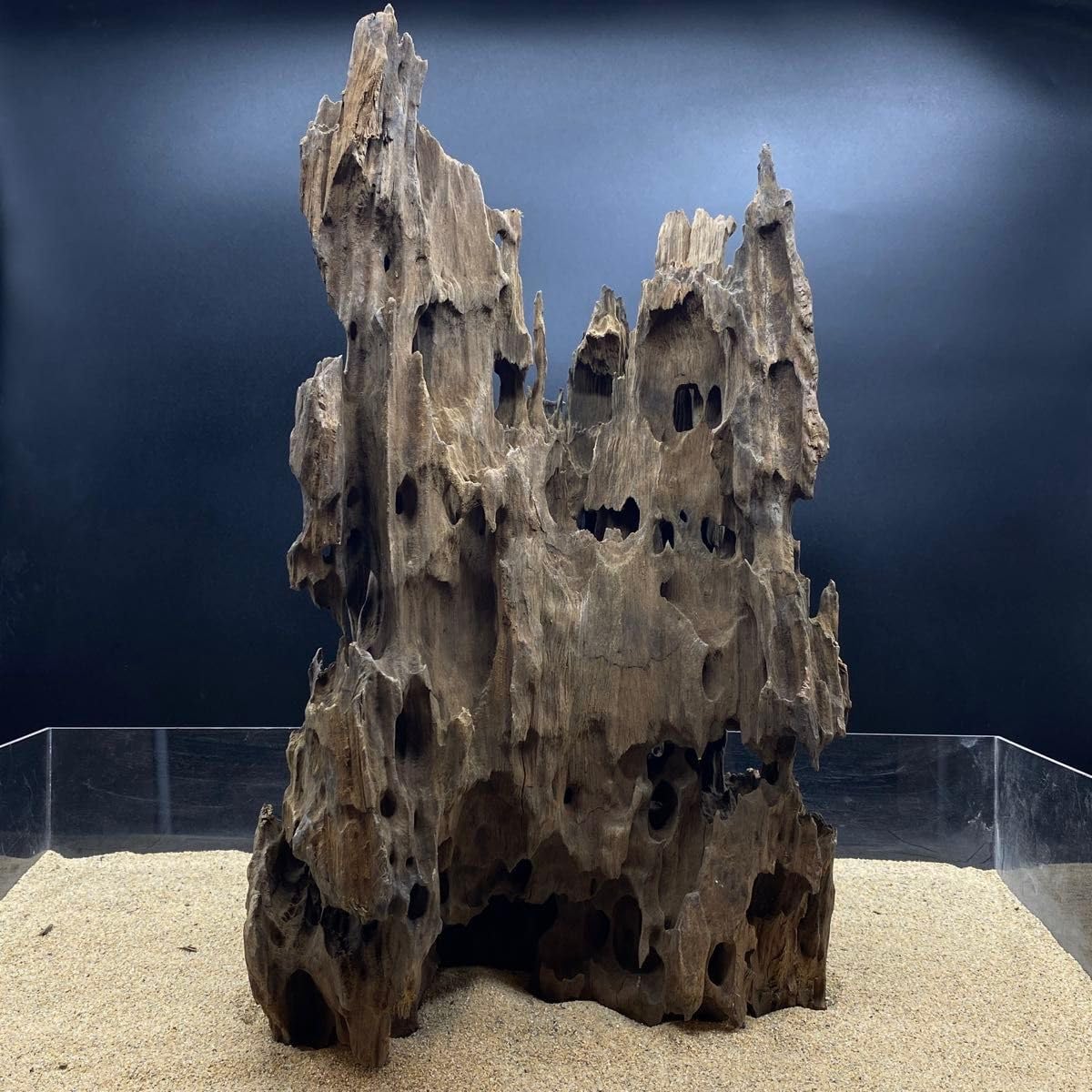 ライブロックのおすすめ人気商品一覧 通販 - Yahoo!ショッピング