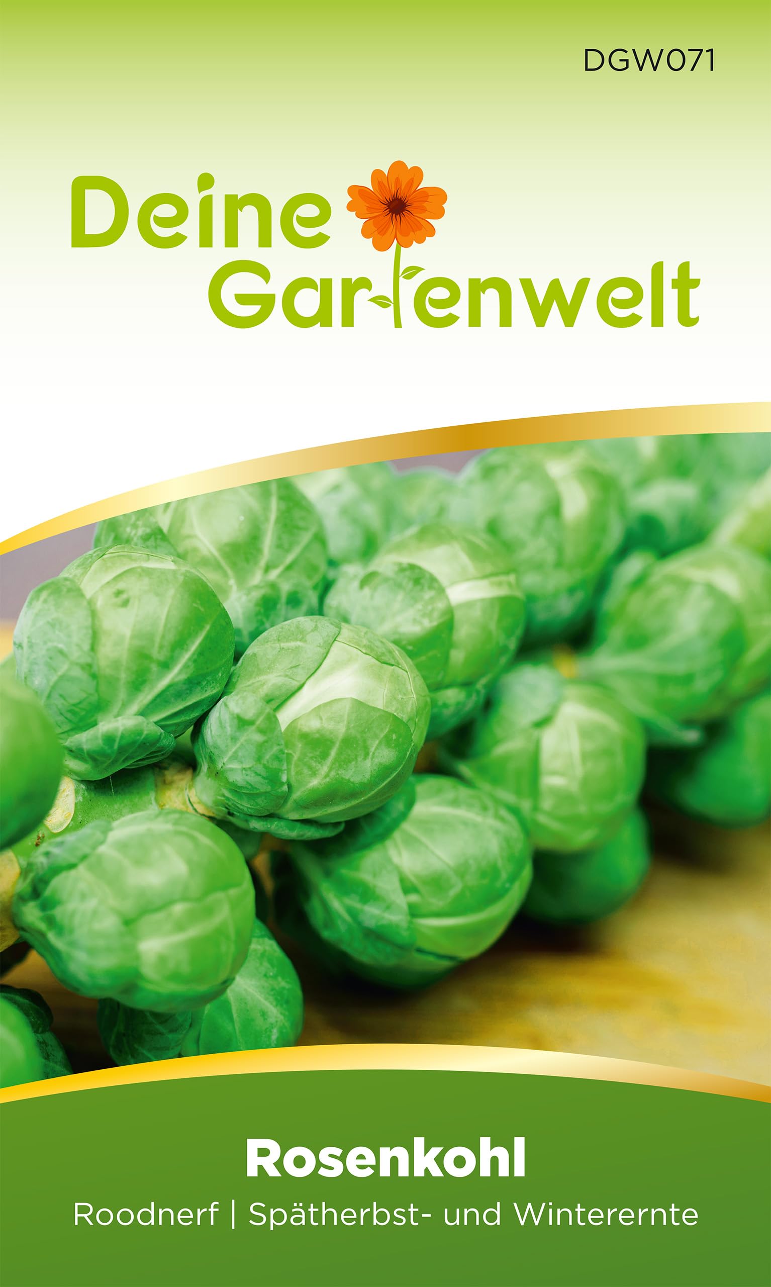 Rosenkohl-Samen 'Roodnerf' Von Sperli – Späte Sorte Für Winterernte, Aussaat April-Mai