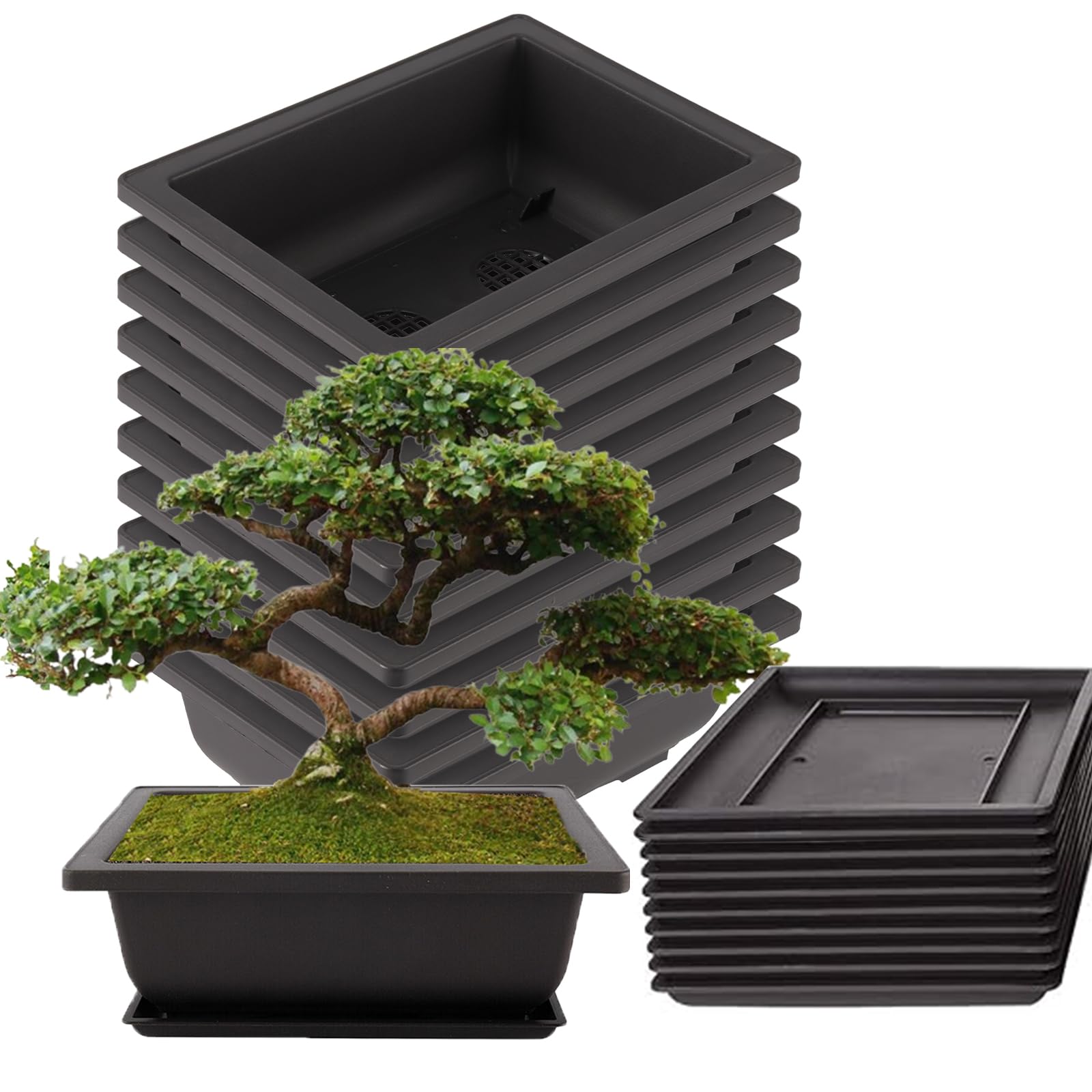 10 vasi da allenamento per bonsai, 23 x 17 cm, vasi per bonsai con sottovaso, in plastica, per soggiorno, ufficio, giardino