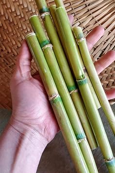 Bambu  ubuklar 20Adet Do al Zanaat Malzemesi, R zgar  anlar , Kam  Bitki Dallar , Dekor Par alar