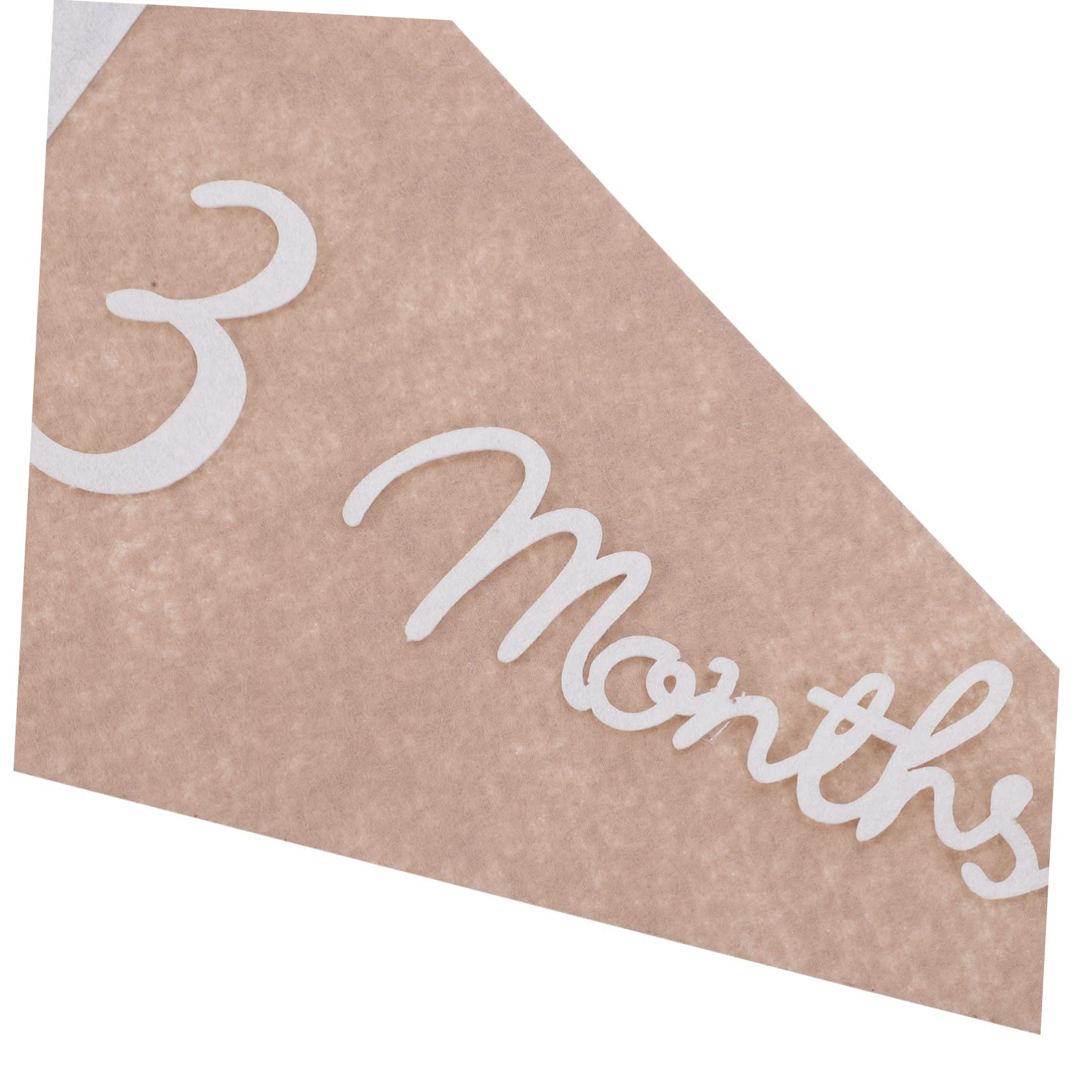 WHAMVOX Monthly Milestone Triangle Banner Welcome Baby Photo Prop Diy Decor Banner