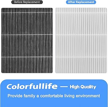 Amazon.com: Colorfullife 2 Sets 116130 Replacement Filter H for