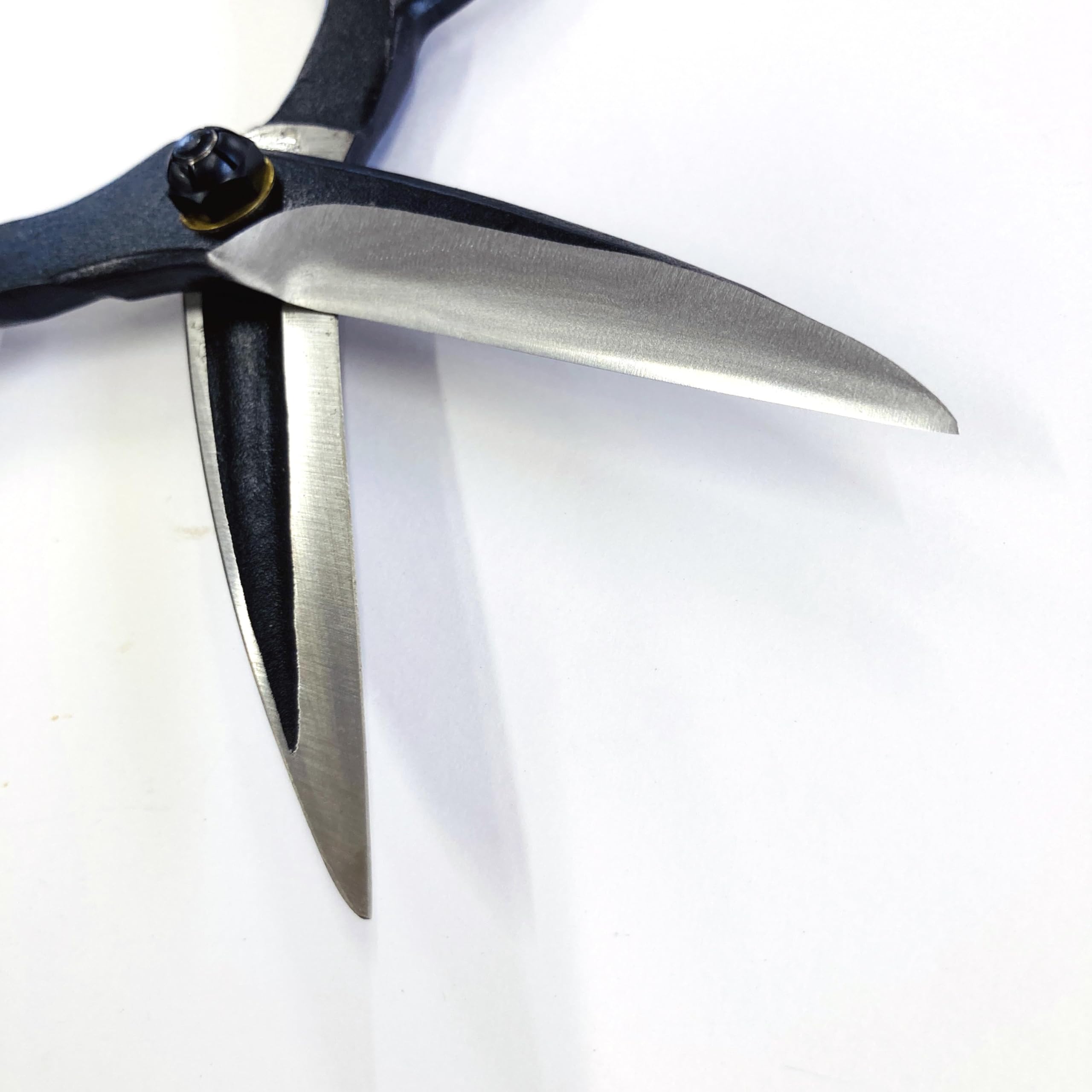 Amazon | 鋏正宗 植木鋏【青紙鋼】ネジ式 90mm 裏スキ №203B（日本製