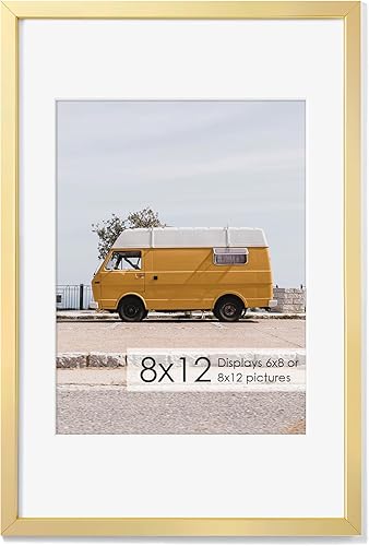 Miniatura 458 de Fun Memories Portarretratos de metal de 16 x 20 pulgadas con paspartú de 11 x 14 pulgadas, acabado de aluminio cepillado, parte delantera de vidrio