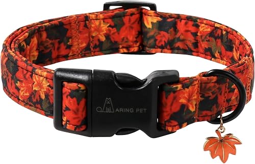 ARING PET Fall Dog Collar, Cute Autumn Orange Maple Leaf Pet Collars for Puppy Small Medium Large Girl Boy Dogs-XS