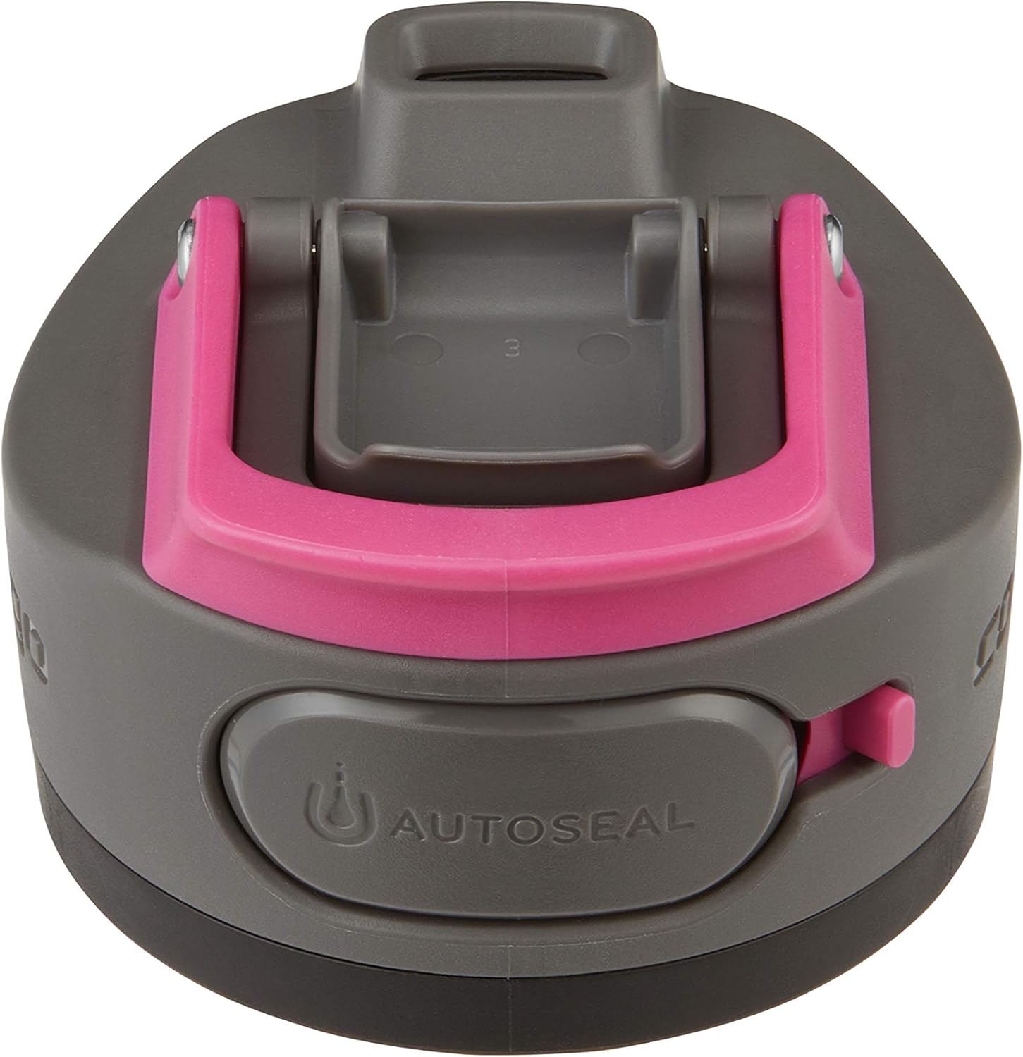 Contigo AUTOSEAL Water Bottle, 24oz, Dragon Fruit Lid : Sports & Outdoors